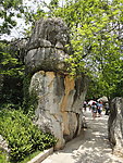 石林