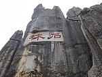 石林