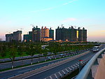 城市园林