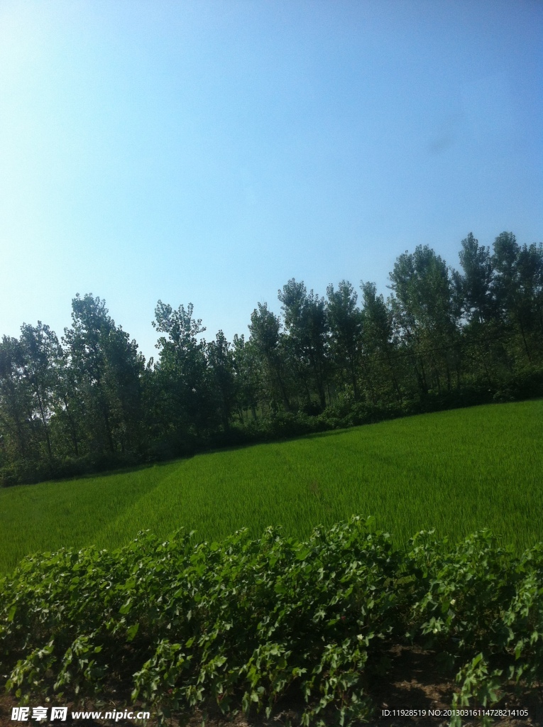 宜昌