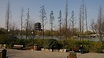 公园景观