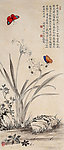 兰花