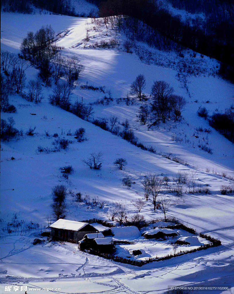 冬季冰雪雾凇