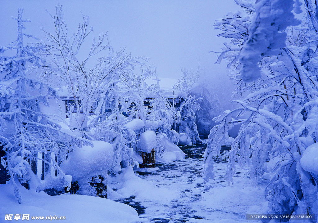 冬季冰雪雾凇