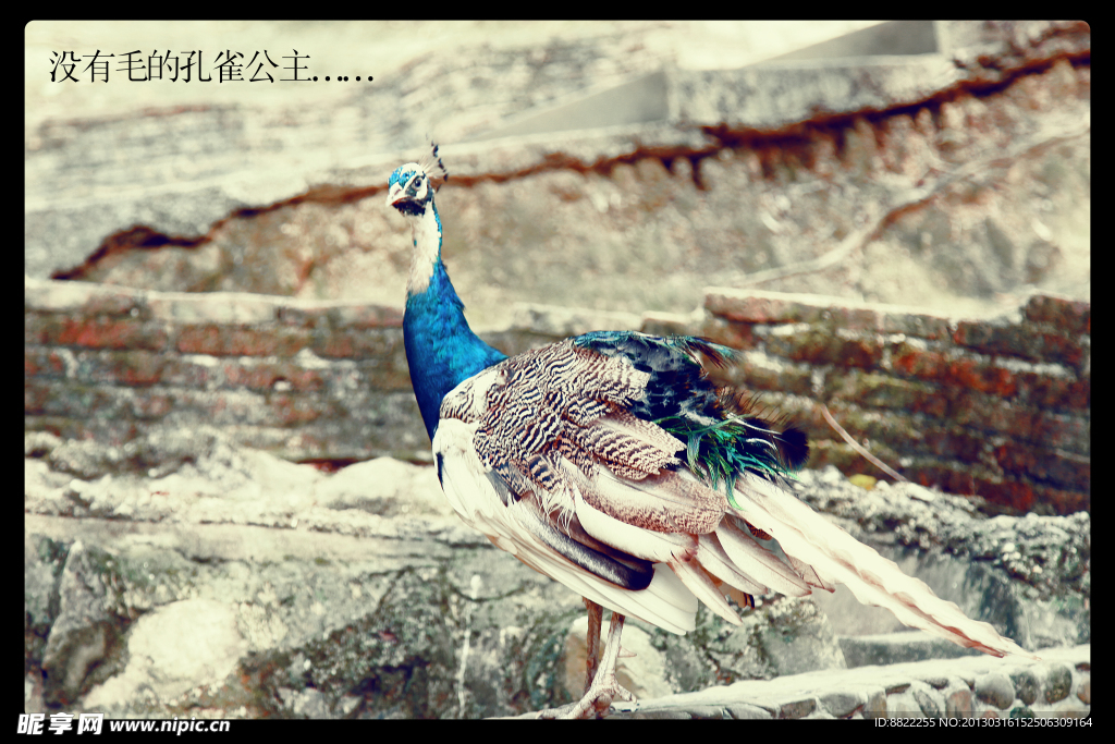 摄影风采