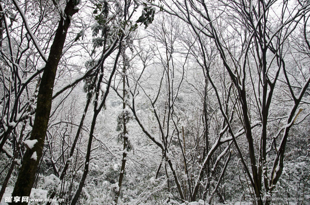 雪景