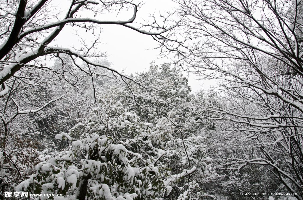 雪景