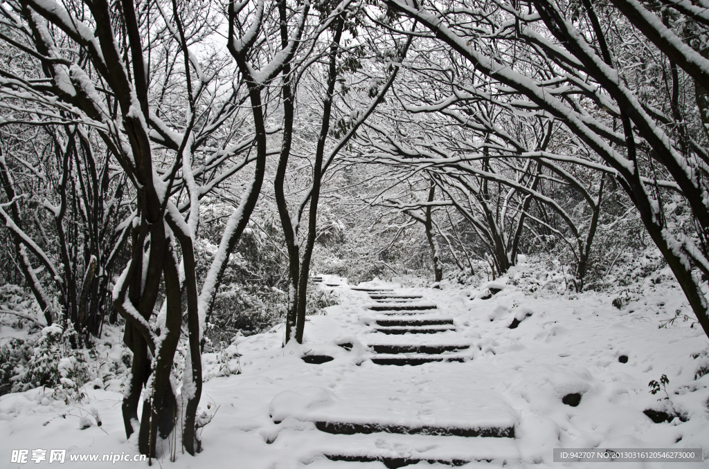 雪景