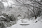 雪景