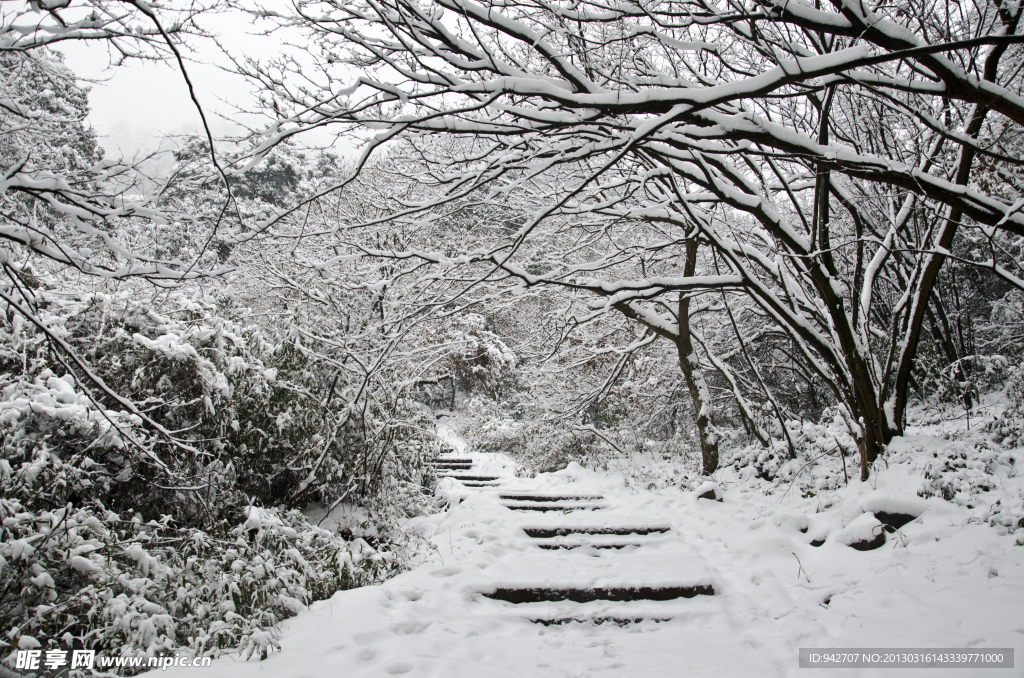 雪景