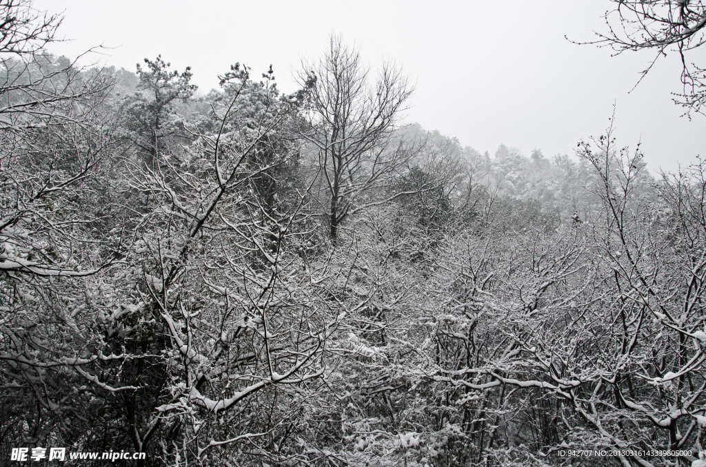 雪景