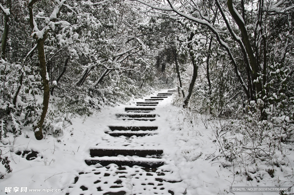 雪景