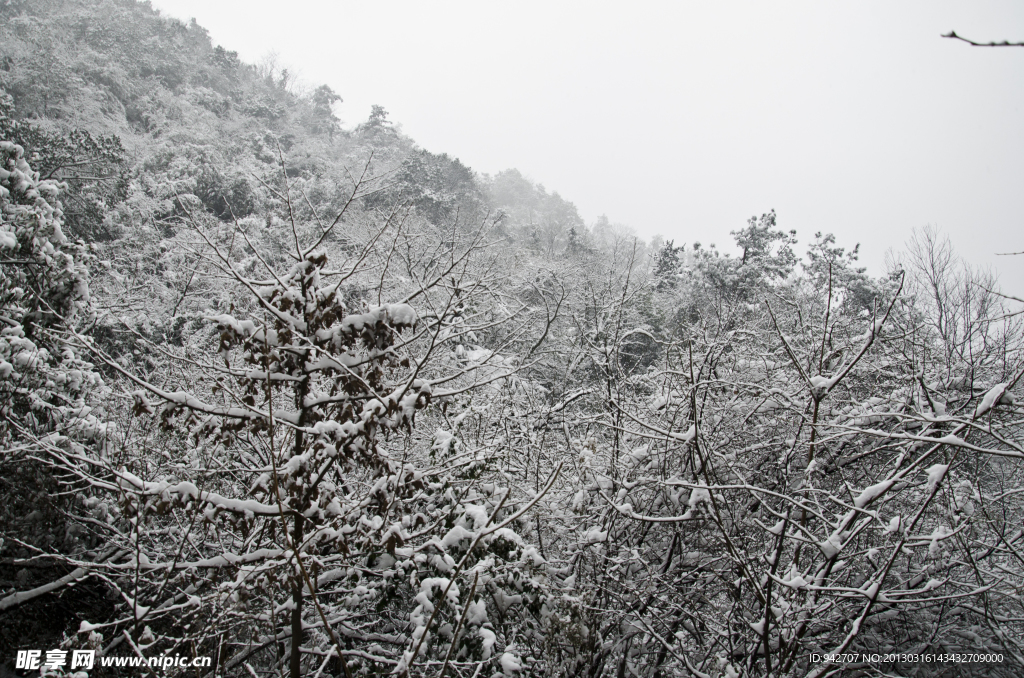 雪景