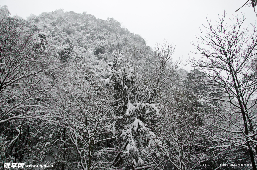 雪景