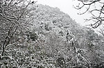 雪景