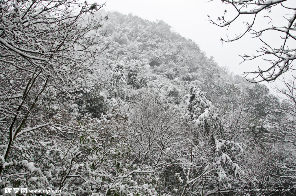 雪景