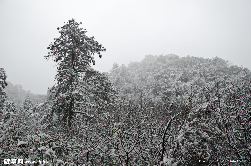 雪景