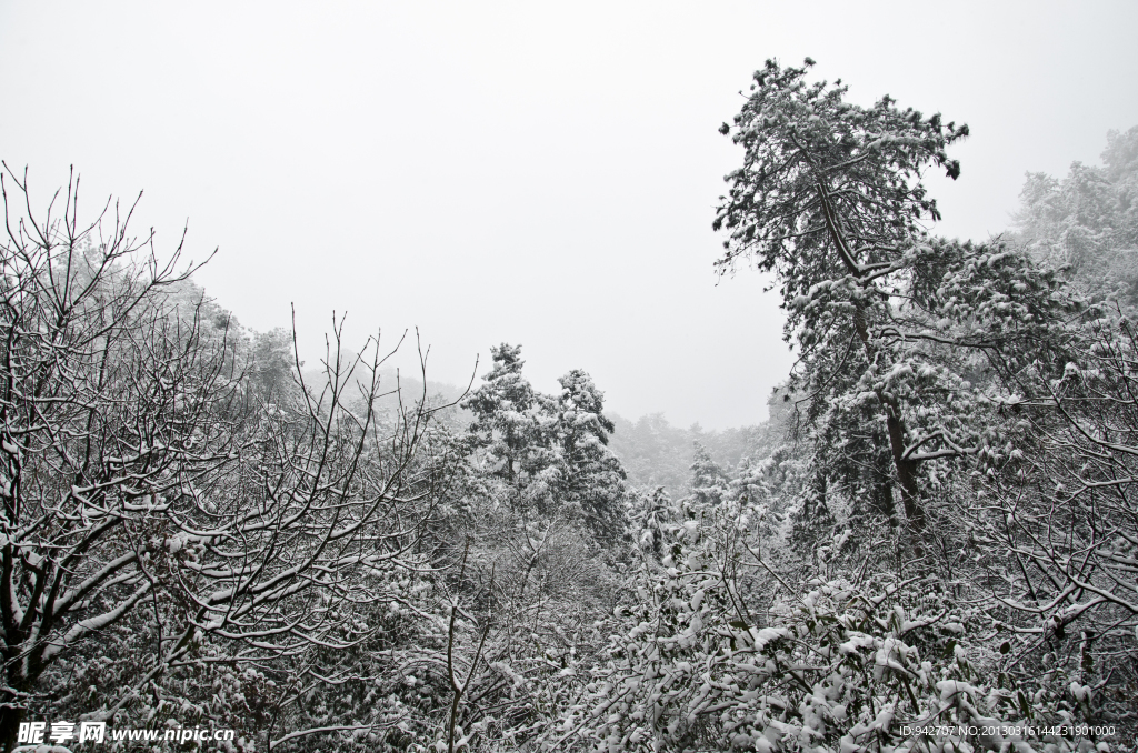 雪景