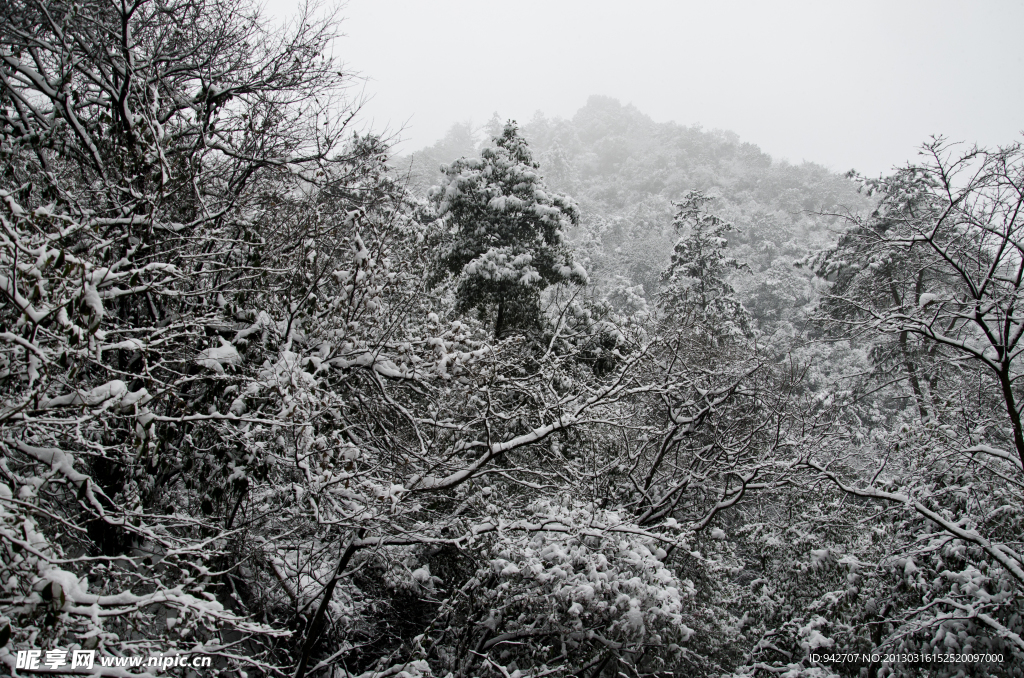 山中雪景