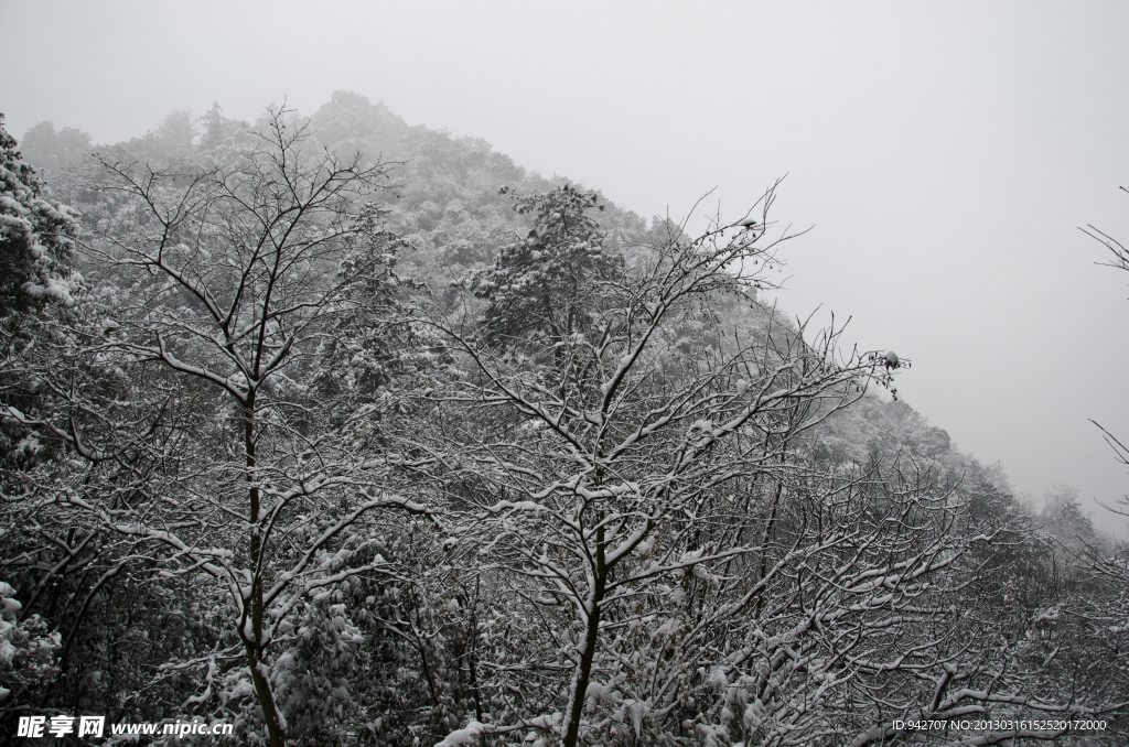 雪景