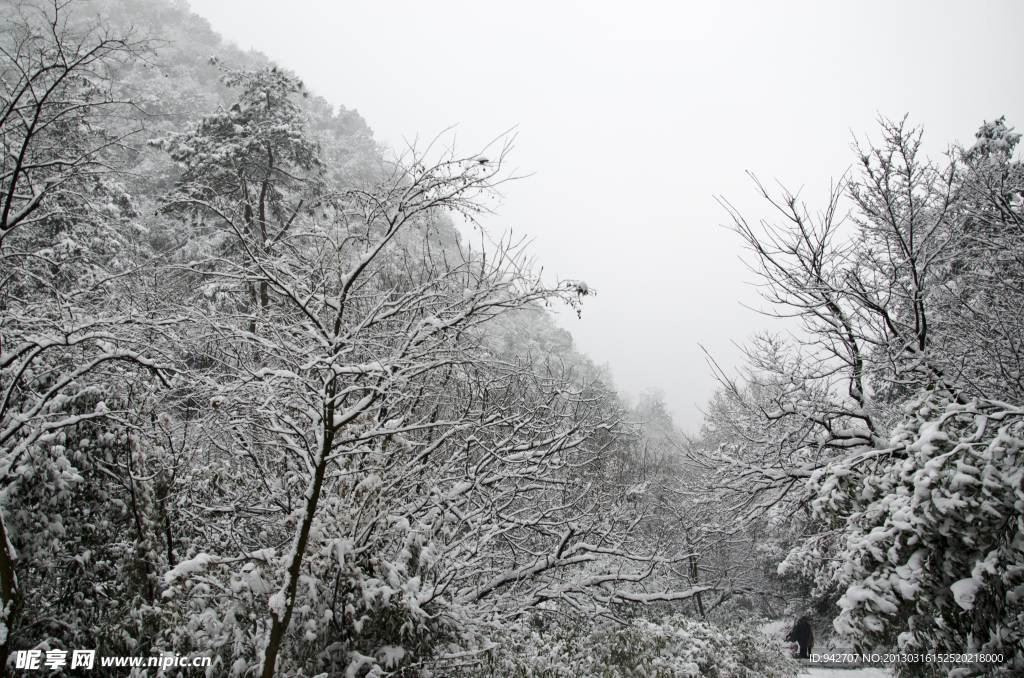 雪景