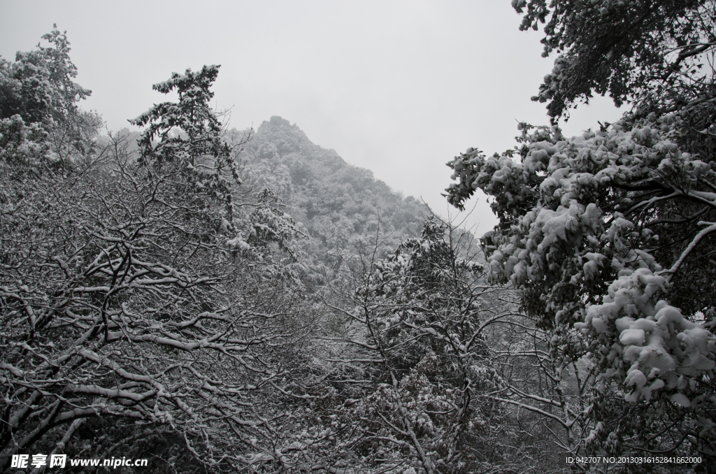 雪景