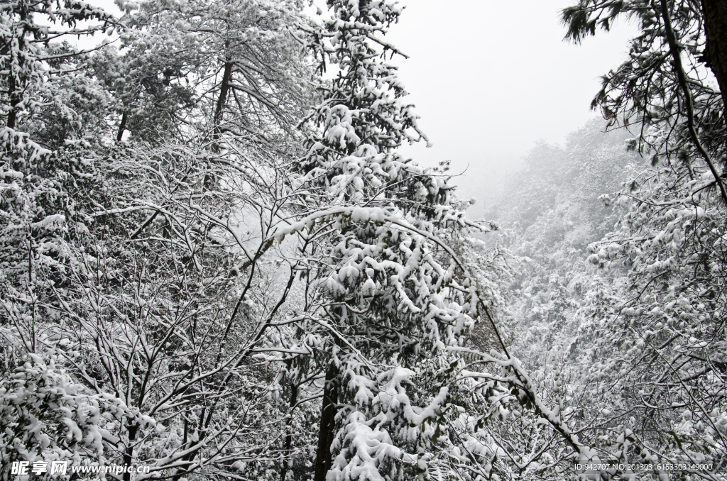 雪景