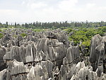石林