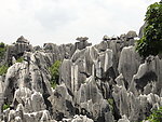 石林