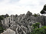 石林