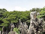 石林