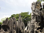 石林