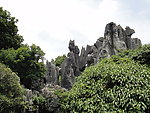 石林