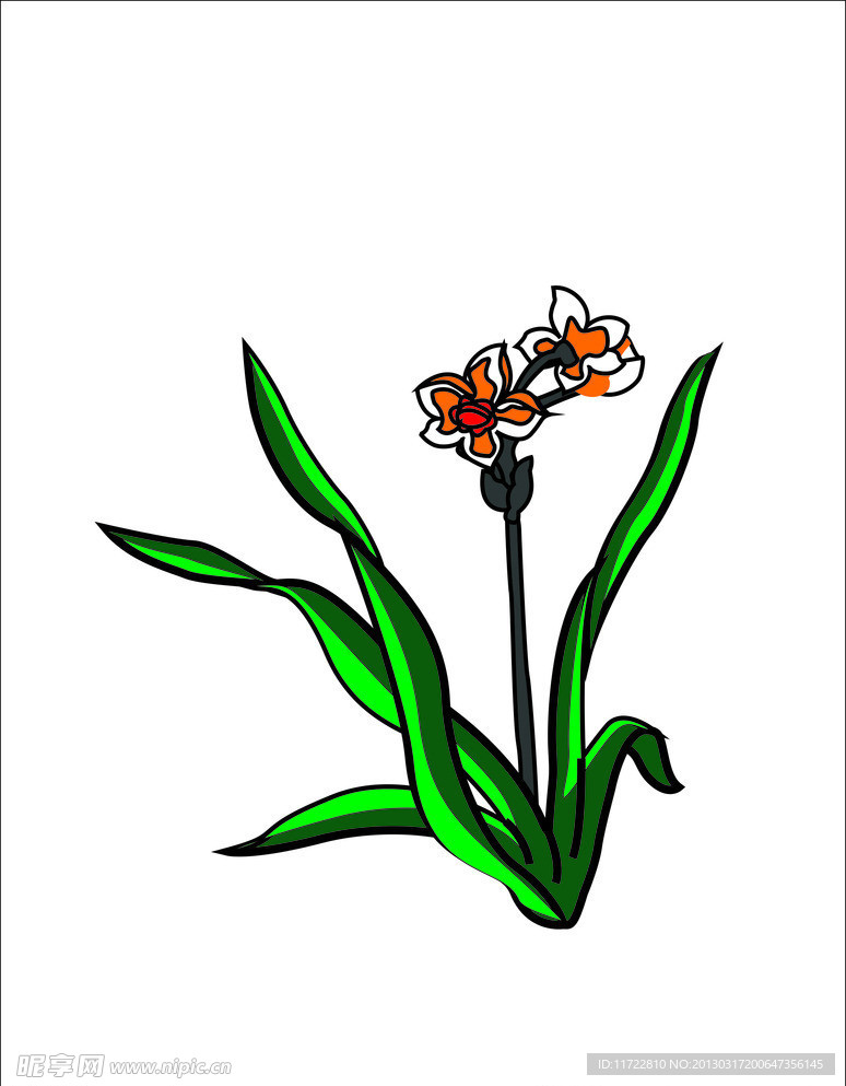 兰花