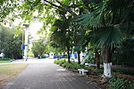 岐江公园