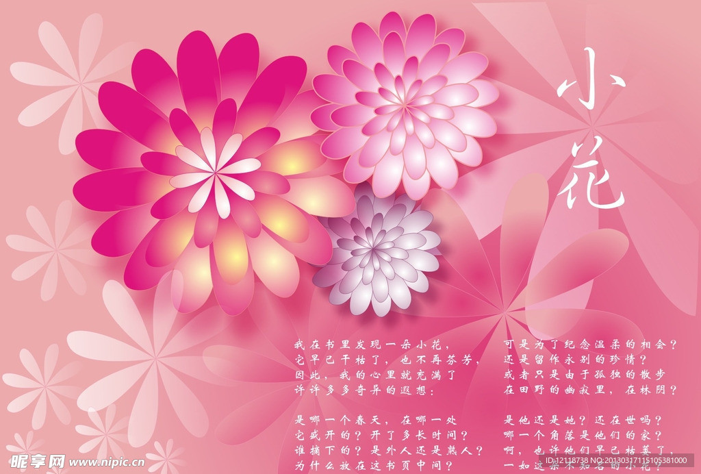插画花纹小花