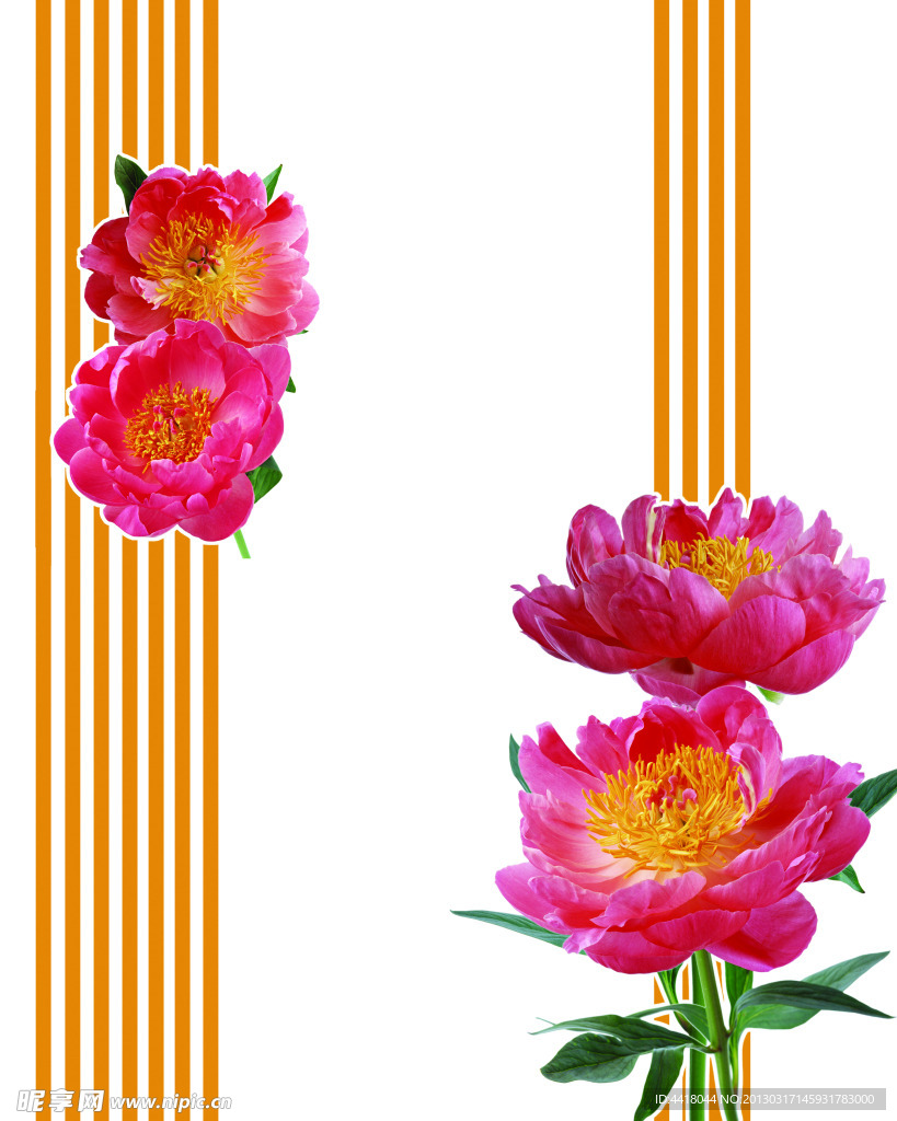 花朵移门