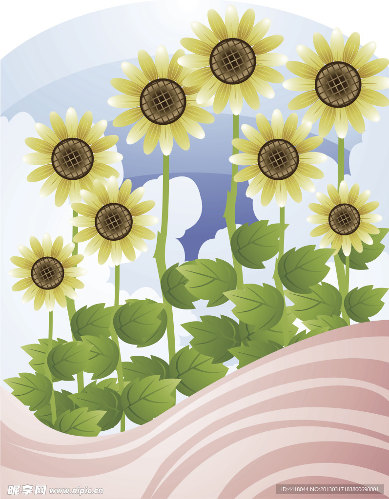 太阳花