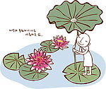 荷花
