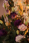紫色玫瑰花花艺