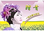 油菜花