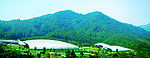 百岁山基地
