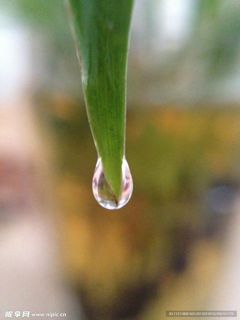 水滴