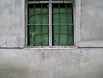 废弃建筑的窗户