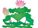 荷花 出淤泥而不染