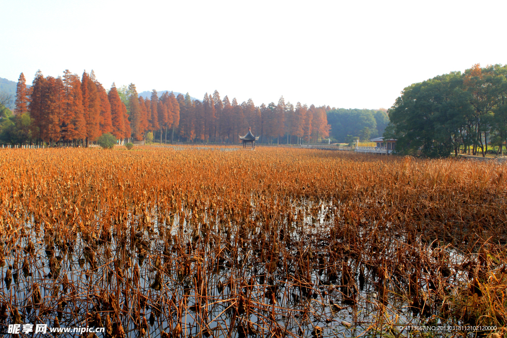 东湖风景