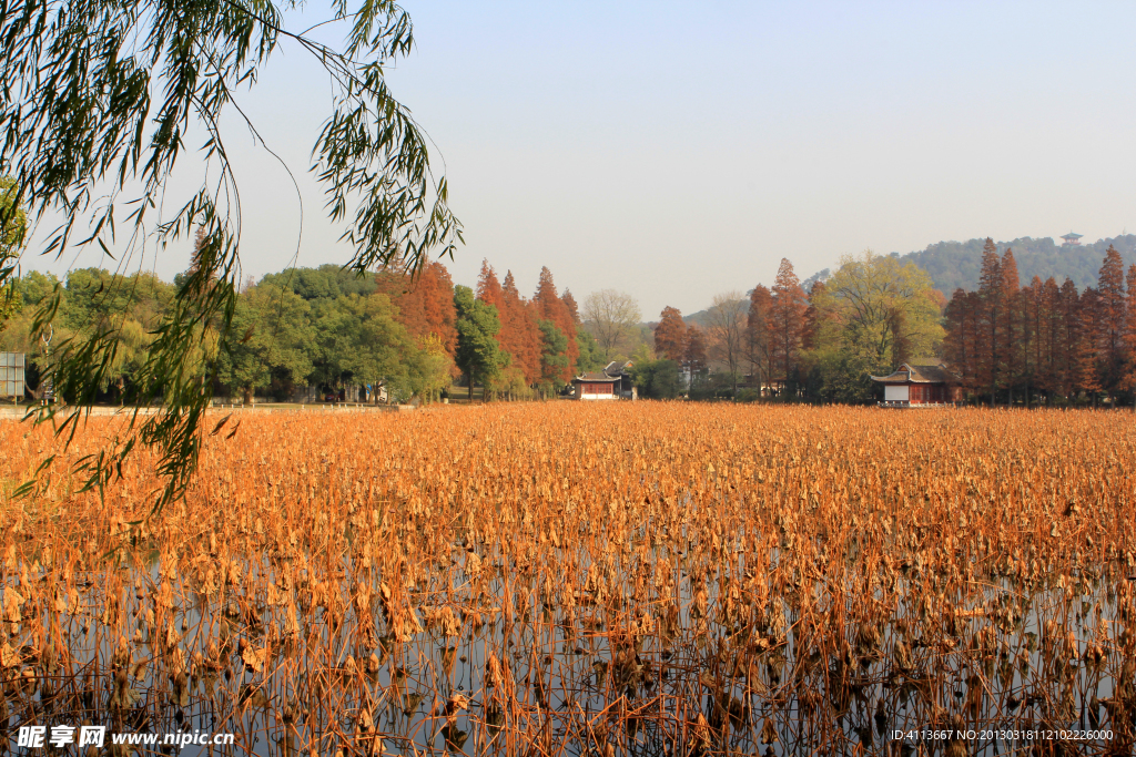 东湖风景