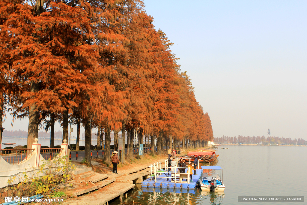 东湖风景