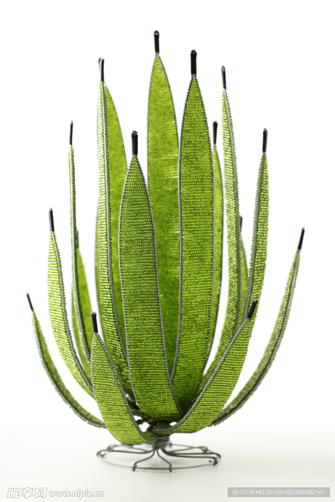 编织植物