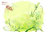 树叶绿叶